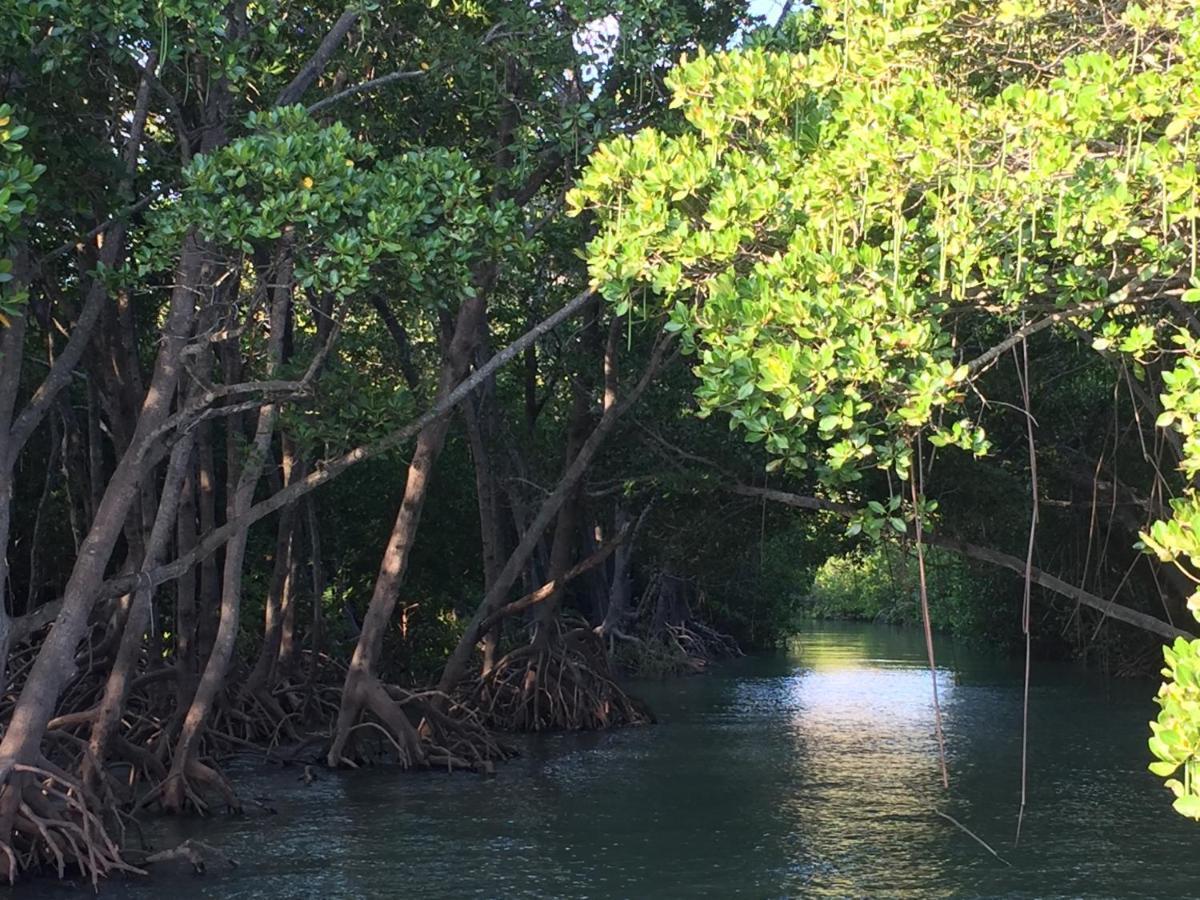 Shambhala Retreat Magnetic Island Cottages Nelly Bay Екстериор снимка